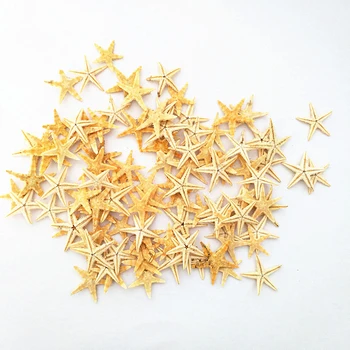 100 kozarcev naravnih sea star Mala Zvezda Zvezda Morja Shell Beach Obrti 1.8-3 cm
