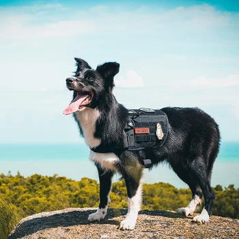 OneTigris Storitev Pes Pomoč Pas Združljiv Telovnik Taktične Vojaške MOLLE Usposabljanje Pas za Storitev Pes
